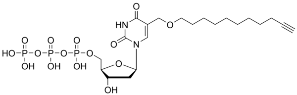 Undecynyl-dUTP, CAS 2229952-07-0